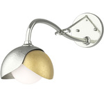 Brooklyn Double Shade Long Arm Wall Sconce - Sterling / Modern Brass