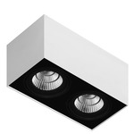 Box 2C 2 Light Ceiling Mount - Matte White