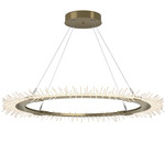 Anemone Circular Pendant - Modern Brass