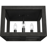 Squire Manor Ceiling Light - Matte Black / Dark Ash