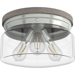 Devon Park Ceiling Light - Brushed Nickel / Clear