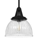 Cypress Grove Pendant - Natural Iron / Clear