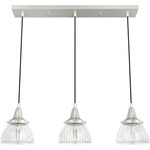 Cypress Grove 3 Light Linear Pendant - Brushed Nickel / Clear