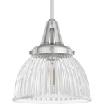 Cypress Grove Pendant - Brushed Nickel / Clear