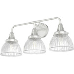 Cypress Grove Bathroom Vanity Light - Brushed Nickel / Clear