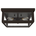 Felippe Ceiling Light - Onyx Bengal / Clear Seeded