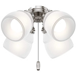 4-Light Light Kit - Brushed Nickel / Cased White