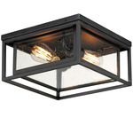 Cabana Outdoor Ceiling Light - Black / Clear Seeded