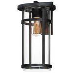 Clyde Vivex Outdoor Wall Sconce - Black / Clear