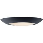 Diverse T24 Wet Location Ceiling Light - Black / White