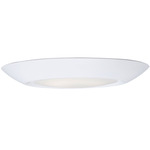 Diverse T24 Wet Location Ceiling Light - White / White