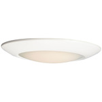 Diverse T24 Wet Location Ceiling Light - White / White