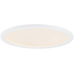 Wafer Round 120-277V ELV Dim Surface Light - White / White