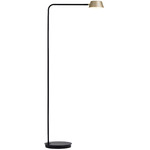 Olo Floor Lamp - Black / Champagne Gold