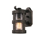 Barbosa Outdoor Wall Sconce - Bronze / Clear Seeded