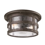 Barbosa Flush Mount - Bronze / Clear