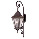 Morgan Hill Outdoor Wall Sconce - Natural Rust / Clear
