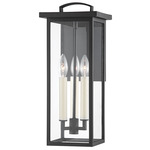 Eden Outdoor Wall Sconce - Black / Clear