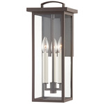 Eden Outdoor Wall Sconce - Bronze / Clear