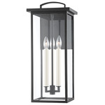 Eden Outdoor Wall Sconce - Black / Clear