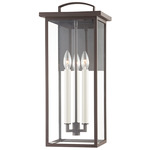 Eden Outdoor Wall Sconce - Bronze / Clear