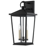 Soren Outdoor Wall Sconce - Black / Clear