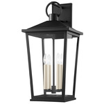 Soren Outdoor Wall Sconce - Black / Clear