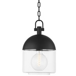 Zephyr Outdoor Pendant - Black / Clear Seeded