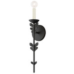 Florian Wall Sconce - Black Iron