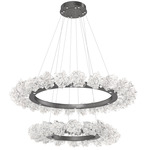 Blossom Two Tier Ring Chandelier - Graphite / Clear