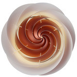 Swirl Wall / Ceiling Light - Copper