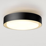 Plaff-On Wall / Ceiling Light - Black / Opal