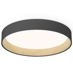 Duo Ceiling Light Fixture - Matte Graphite