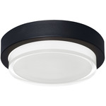 Elm Outdoor Flush Light - Black / Clear