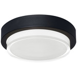 Elm Outdoor Flush Light - Black / Clear