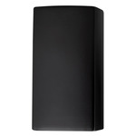 Ambiance 915 Up / Down Wall Sconce - Carbon