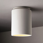 Radiance 6100 Outdoor Ceiling Light - Bisque