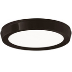 Argo Color Select Wall / Ceiling Light - Black / White