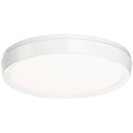 Argo Color Select Wall / Ceiling Light - White / White