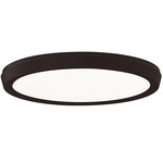 Argo Color Select Wall / Ceiling Light - Black / White