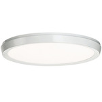 Argo Color Select Wall / Ceiling Light - Brushed Nickel / White