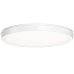 Argo Color Select Wall / Ceiling Light - White / White