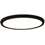 Argo Color Select Wall / Ceiling Light - Black / White