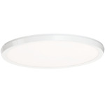 Argo Color Select Wall / Ceiling Light - White / White