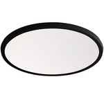 Argo Color Select Wall / Ceiling Light - Black / White