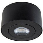 I Spy Color Select Outdoor Gimbal Ceiling Light - Black / Clear