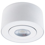 I Spy Color Select Outdoor Gimbal Ceiling Light - White / Clear
