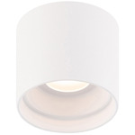 Squat Color Select Outdoor Ceiling Light - White / Frosted