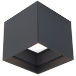 Kube Color Select Outdoor Ceiling Light - Black / Frosted