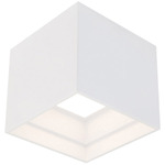 Kube Color Select Outdoor Ceiling Light - White / Frosted